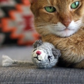 necono ͥ ͤߤΤߤ åȥ˥å