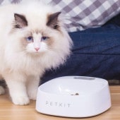 PETKIT �ڥåȥ��å� �������롦�ե����ǥ��󥰥ܡ��� ���⡼��