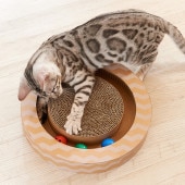 nyancoroby Circle �˥�󥳥��ӡ� �������륿����