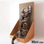 Gari Gari baby Gari Gari Wall interior mini ꥬꥦ ƥꥢ ߥ