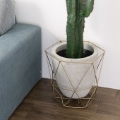FARM �ե����� �磻�䡼�ե����ȥݥå�