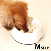 KONOKO Υ Slowdown Dish ä꿩٤뿩 M 7off
