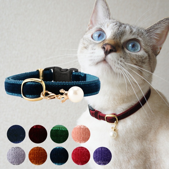 ネイビードット、わんちゃん猫ちゃん用首輪 000000005231_fO30G2n.jpg