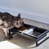 tower  ڥåȥաɥܥ륹ɥå