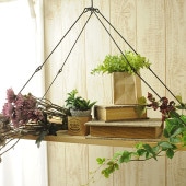 �����ϥ󥮥󥰥ץ졼�� L