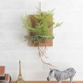 Brown. ֥饦 ե꡼ ե ϥ󥮥  20