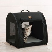One for Pets �ݡ����֥롦������ ������֥�å� ���󥰥�