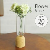 ���饹���ӡ����饹�ȥ��륯�Τ�������ͻ�硡�� �ե��١����¥����/�ץ�󥿡�/�������/����/���ե�/����ƥꥢ/�䤵����/���襤��/���ꥢ���饹/