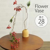 ���饹���ӡ����饹�ȥ��륯�Τ�������ͻ�硡�� �ե��١����¥����/�ץ�󥿡�/�������/����/���ե�/����ƥꥢ/�䤵����/���襤��/���ꥢ���饹/