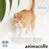 animacolle ���˥ޥ��� Catroad+  ����åȥ��ƥåס��ۥ磻��