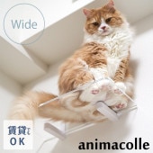 animacolle ���˥ޥ��� Catroad+  ����å� �磻�ɥ��ƥåץ��ꥢ