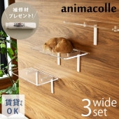 animacolle ���˥ޥ��� Catroad+ �磻�ɥ��ƥå� 3�����åȡ� ���ꥢ3��