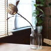 Horn Please �ۡ��� �ץ꡼�� ��塼�����饹 �ե��١��� �ͥå�