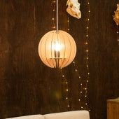 WARMS ڥȥ饤 Globe30