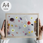 MOEBE �ࡼ�� FRAME �ե졼�� A4 ������
