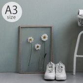 MOEBE ࡼ FRAME ե졼 A3 