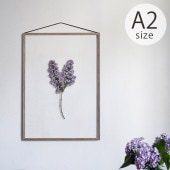 MOEBE �ࡼ�� FRAME �ե졼�� A2 ������