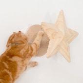 MYZOO �ޥ����� Twinkle Star ����åȥ��ƥå� �ޤȤ�