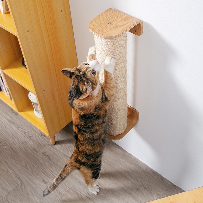 その他 MYZOO MYZOO マイズー CYLINDER 爪とぎポール | 商品種別,ペットアイテム,猫