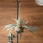 Brown. ֥饦 ե꡼ ӥ ϥ󥮥󥰥ܡ 46