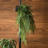 Brown. �֥饦�� �ե��������꡼�� �ե����� �ϥ󥮥󥰥ܡ��� 53