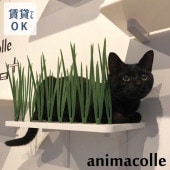 animacolle ���˥ޥ��� Catroad+ ����åȥ��饹