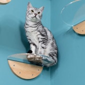 MYZOO �ޥ����� Round Lack �饦��ɥ�å� ���ꥢ