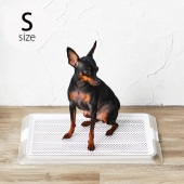 Bonbi �ܥ�ӥ��륳�� �ܥ�� �ڥåȥȥ졼 ���ꥢ��å��� S 7off