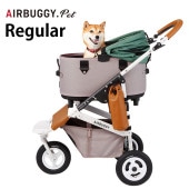 AIRBUGGY �����Х��� DOME3 �ե졼�ॻ�å� �쥮��顼