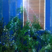 Another Garden ���ʥ��������ǥ� ���ѡ����顼 �եå� cool flash