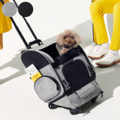 AIR BUGGY �����Х��� FITT