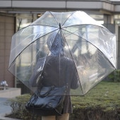 White Rose �ۥ磻�ȥ����� �礭�ʹ��ӥˡ��뻱 8�ܹ� 85cm �ƥ顦�ܥ���