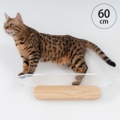 MYZOO �ޥ����� OBLONG Ʃ������åȥ��ƥå� 60cm