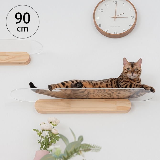てるてるぼーず　キャットステップ 000000008380_1G6Frtk.jpg