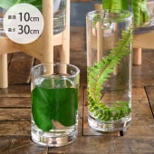 FOYER �ۥ磻�� PV�������� ľ��10cm�߹⤵30cm