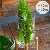 FOYER �ۥ磻�� PV�������� ľ��15cm�߹⤵30cm