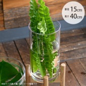 FOYER �ۥ磻�� PV�������� ľ��15cm�߹⤵40cm