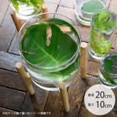 FOYER �ۥ磻�� PV�������� ľ��20cm�߹⤵10cm