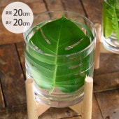 FOYER �ۥ磻�� PV�������� ľ��20cm�߹⤵20cm