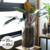 FOYER �ۥ磻�� PV�������� ľ��20cm�߹⤵40cm