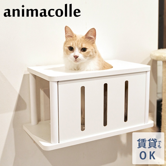 animacolle ���˥ޥ��� Catroad+ ����åȥȥ�ͥ�