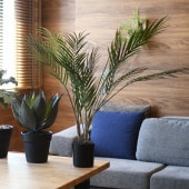 Brown. �֥饦�� ���쥫�䥷 �ݥå� 70