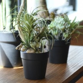 Brown. �֥饦�� �ߥ˥���󥸥��� �ݥå� SD