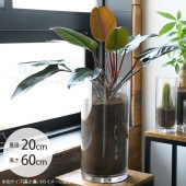 FOYER �ۥ磻�� PV�������� ľ��20cm�߹⤵60cm ���ꥢ