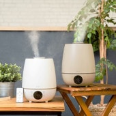 plus more �ץ饹�⥢ �������Ķ���ȼ��ü��� ���٥���ȥ�������