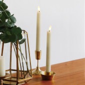 Horn Please �ۡ��� �ץ꡼�� BRASS �����ɥ�ۥ���� �ȥ졼