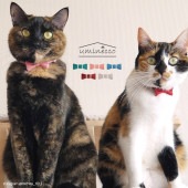 uminecco ߥͥå եƥǭ ܥ