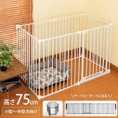 ����󥸥����ȡ��������� �⤵75cm