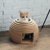 FrancePet ե󥹥ڥå PE05 ͤϥ ޤ