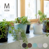 Horn Please �ۡ��� �ץ꡼�� �����ե��ɥ꡼ �ե��ݥå� ��ơ��� W/�ץ졼�� M